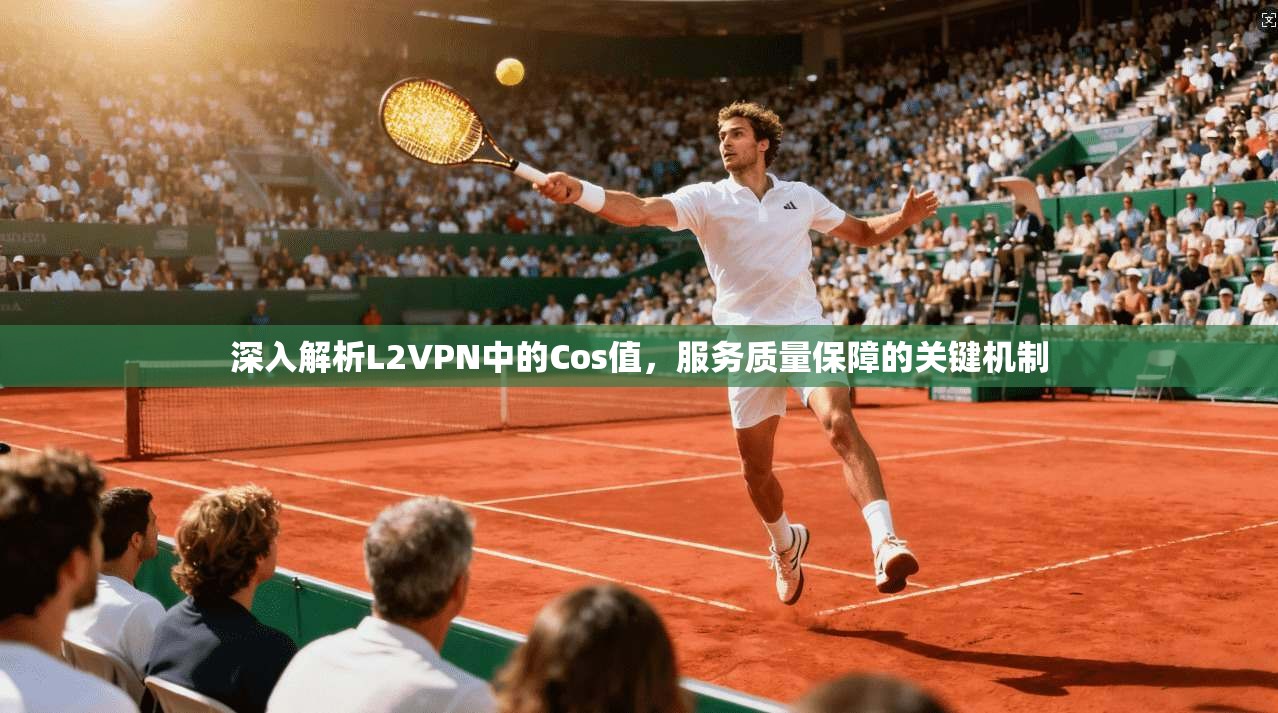 深入解析L2VPN中的Cos值，服务质量保障的关键机制