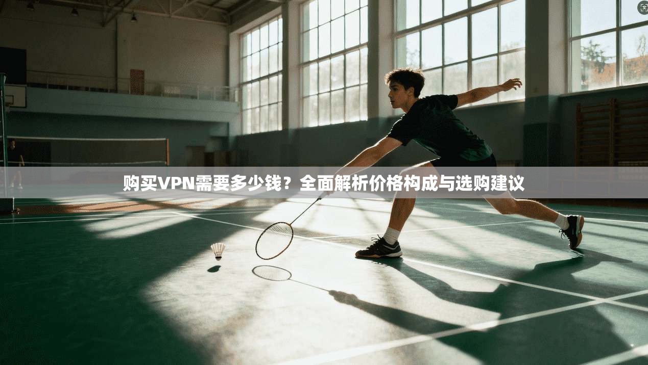 购买VPN需要多少钱?全面解析价格构成与选购建议 购买VPN需要多少钱?全面解析价格构成与选购建议