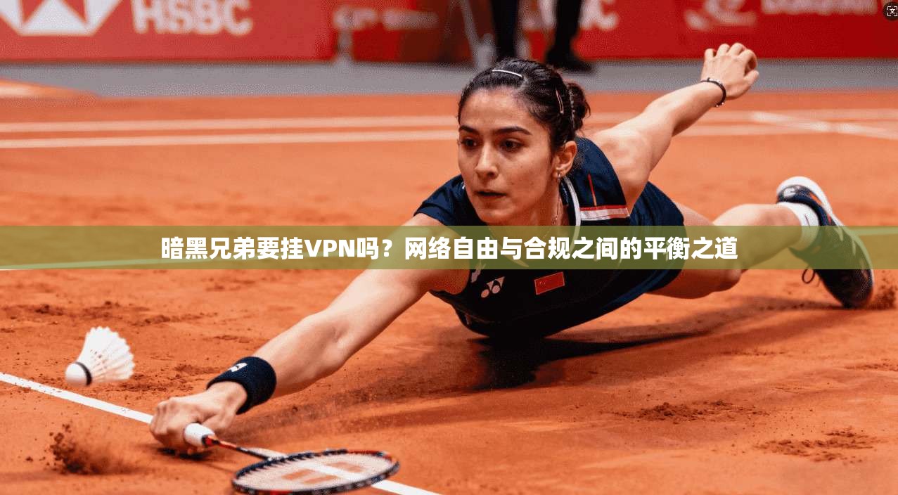 暗黑兄弟要挂VPN吗？网络自由与合规之间的平衡之道