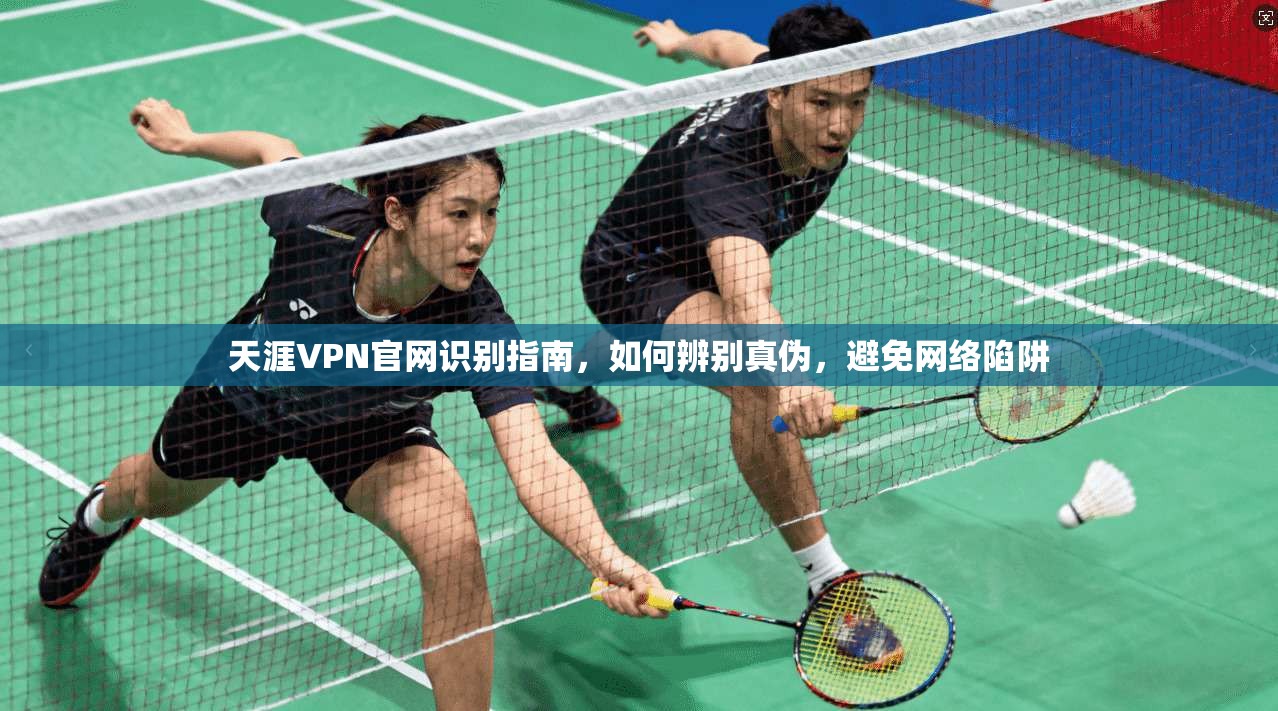 天涯VPN官网识别指南，如何辨别真伪，避免网络陷阱