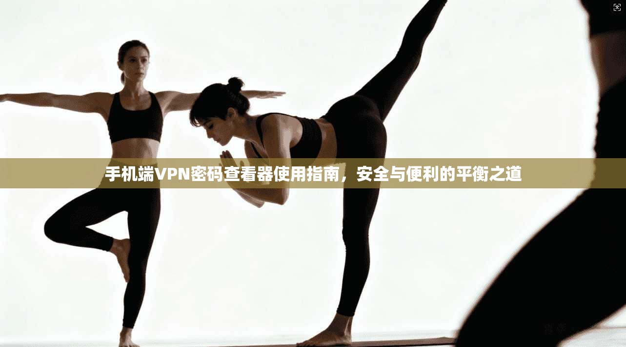 手机端VPN密码查看器使用指南,安全与便利的平衡之道 手机端VPN密码查看器使用指南,安全与便利的平衡之道