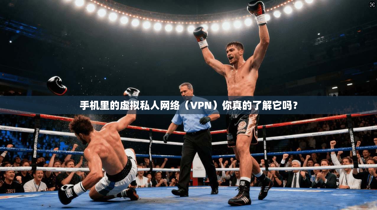 手机里的虚拟私人网络（VPN）你真的了解它吗？
