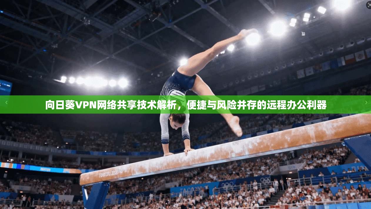向日葵VPN网络共享技术解析，便捷与风险并存的远程办公利器