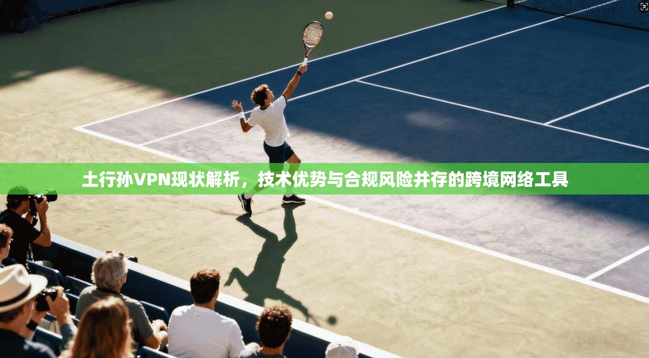 土行孙VPN现状解析，技术优势与合规风险并存的跨境网络工具