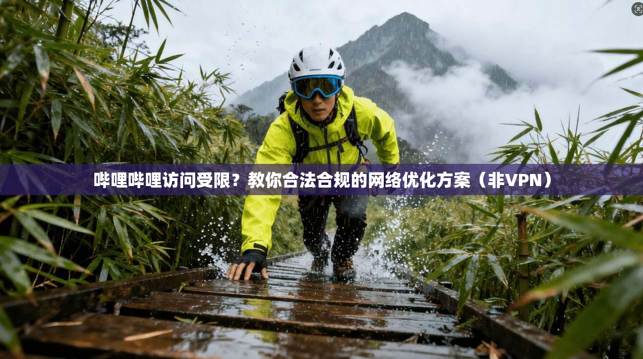 哔哩哔哩访问受限?教你合法合规的网络优化方案(非VPN) 哔哩哔哩访问受限?教你合法合规的网络优化方案(非VPN)