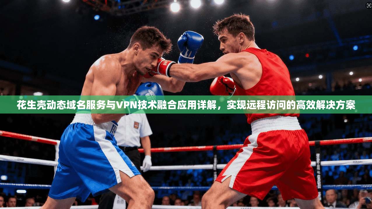 花生壳动态域名服务与VPN技术融合应用详解，实现远程访问的高效解决方案