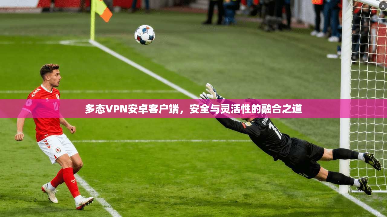 多态VPN安卓客户端，安全与灵活性的融合之道