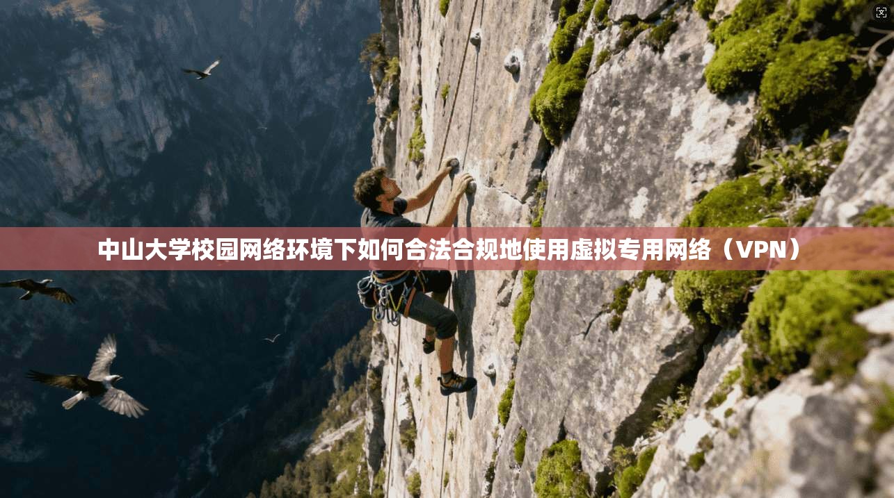 中山大学校园网络环境下如何合法合规地使用虚拟专用网络（VPN）