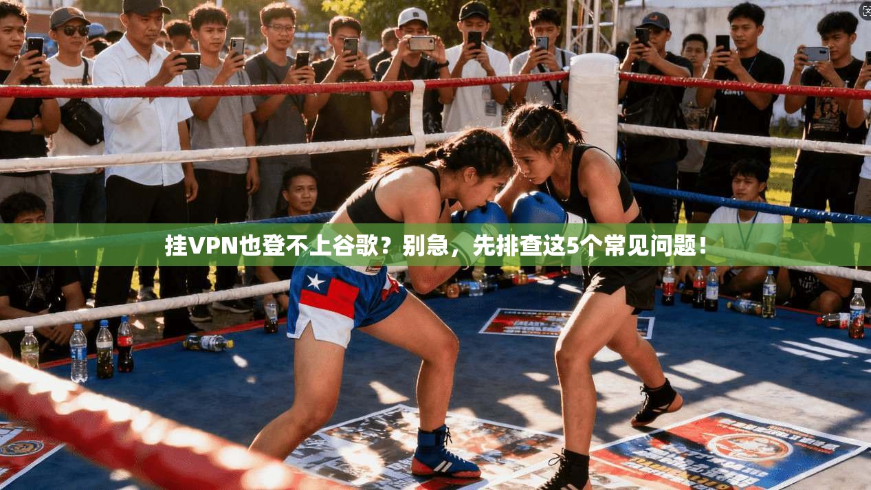 挂VPN也登不上谷歌？别急，先排查这5个常见问题！