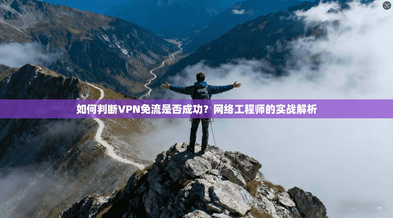如何判断VPN免流是否成功？网络工程师的实战解析