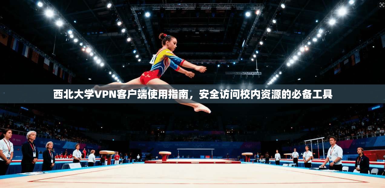 西北大学VPN客户端使用指南,安全访问校内资源的必备工具 西北大学VPN客户端使用指南,安全访问校内资源的必备工具