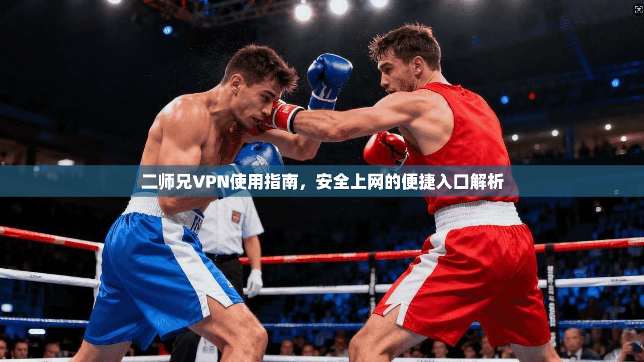 二师兄VPN使用指南，安全上网的便捷入口解析