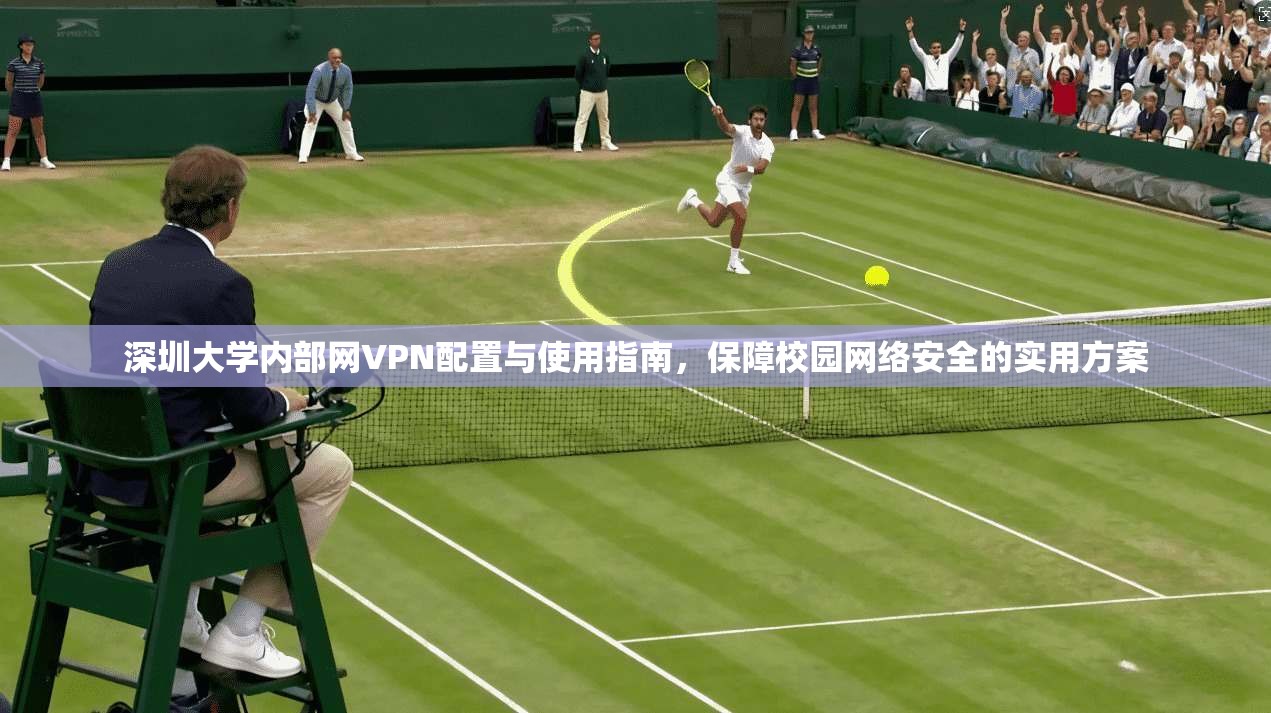 深圳大学内部网VPN配置与使用指南，保障校园网络安全的实用方案