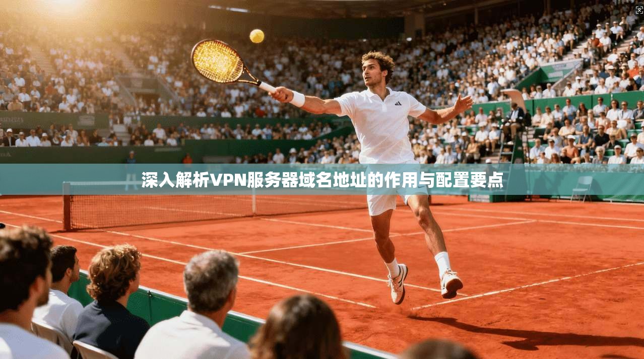 深入解析VPN服务器域名地址的作用与配置要点