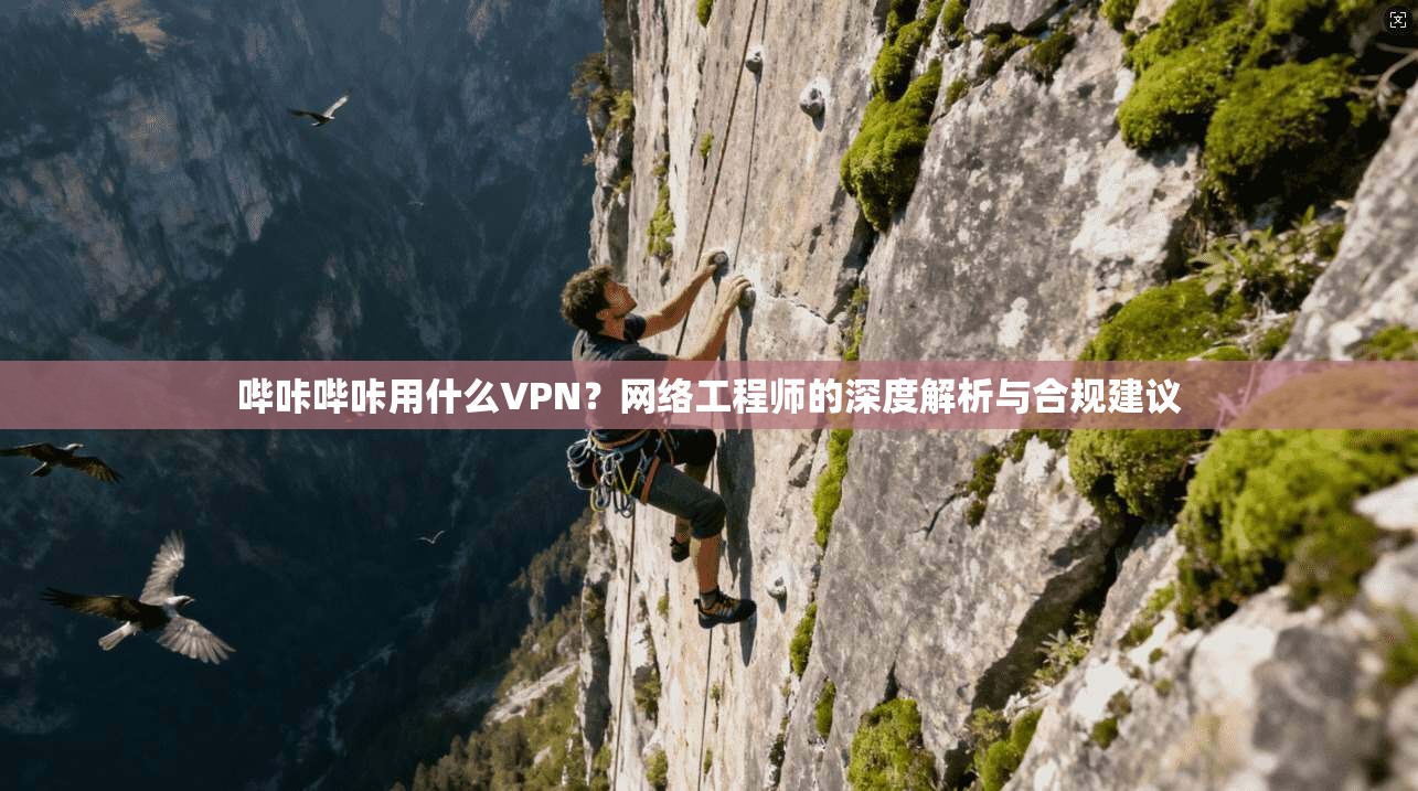 哔咔哔咔用什么VPN?网络工程师的深度解析与合规建议 哔咔哔咔用什么VPN?网络工程师的深度解析与合规建议