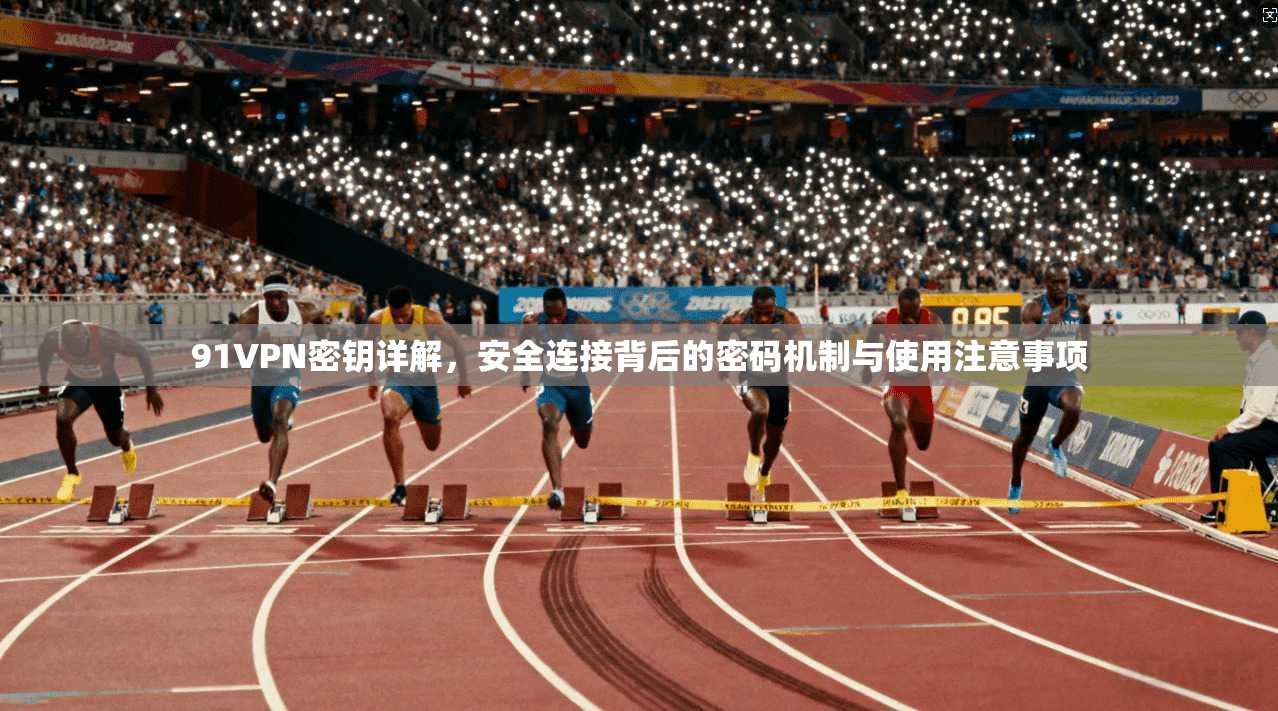 91VPN密钥详解,安全连接背后的密码机制与使用注意事项 91VPN密钥详解,安全连接背后的密码机制与使用注意事项