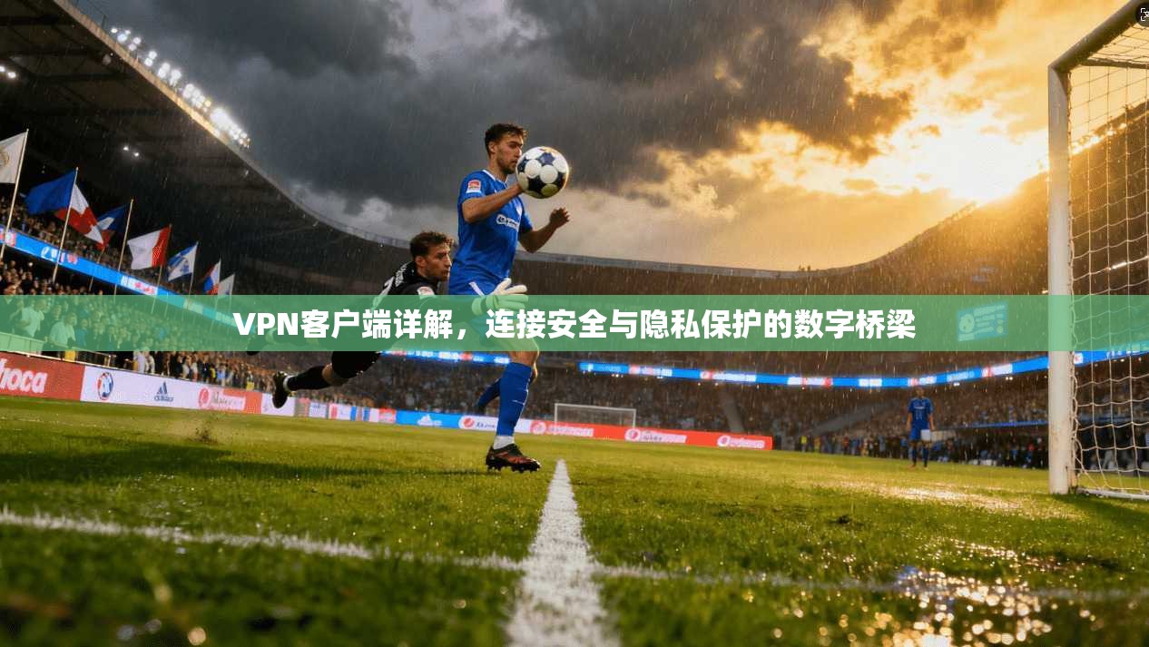 VPN客户端详解,连接安全与隐私保护的数字桥梁 VPN客户端详解,连接安全与隐私保护的数字桥梁