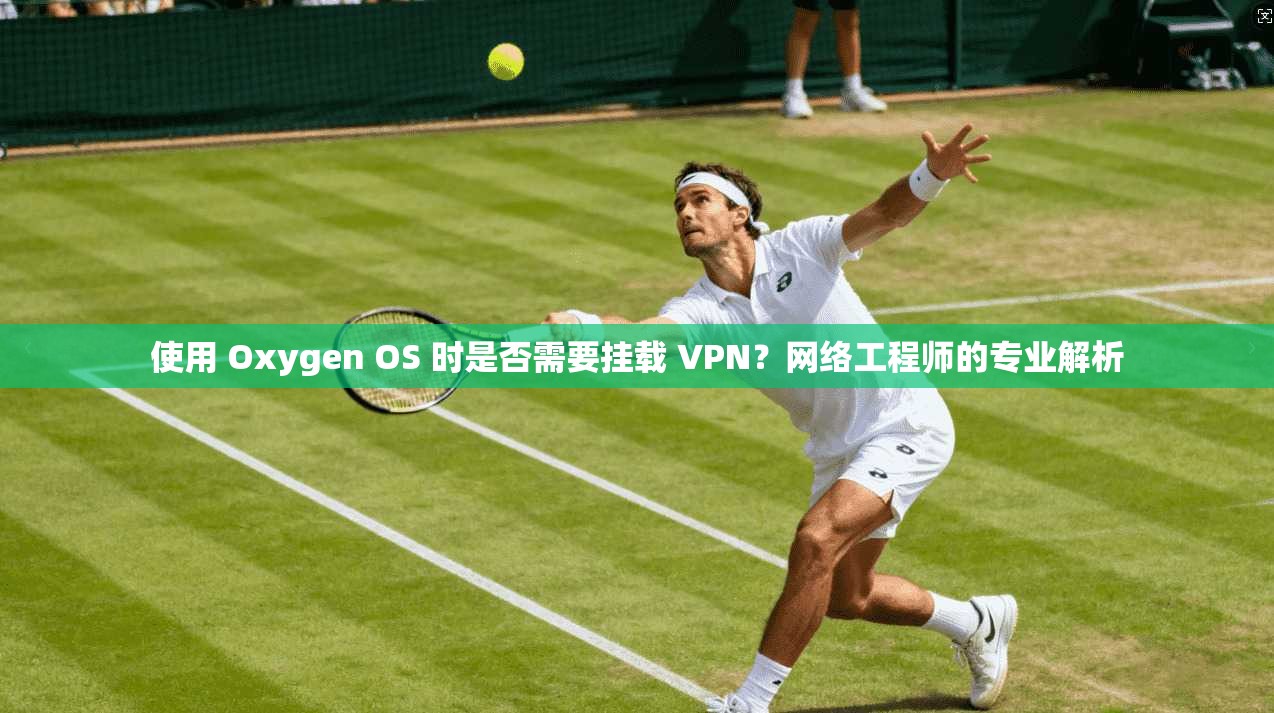 使用 Oxygen OS 时是否需要挂载 VPN？网络工程师的专业解析