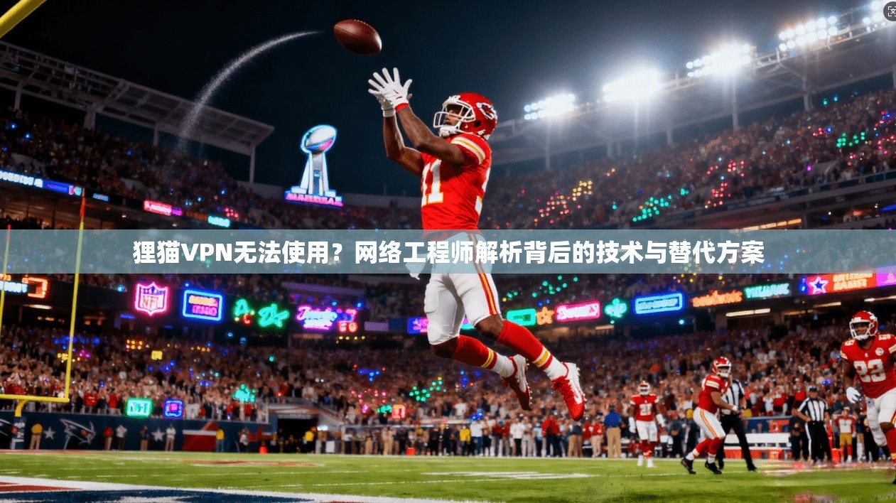 狸猫VPN无法使用?网络工程师解析背后的技术与替代方案 狸猫VPN无法使用?网络工程师解析背后的技术与替代方案