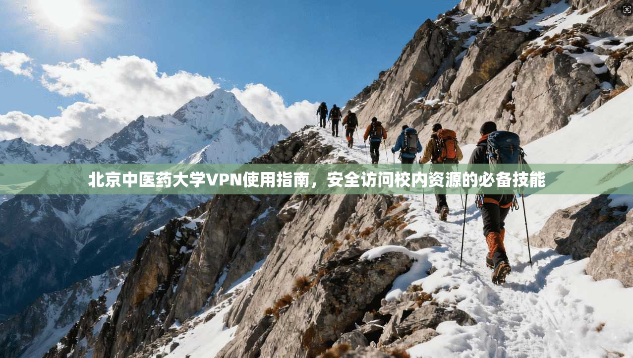北京中医药大学VPN使用指南，安全访问校内资源的必备技能