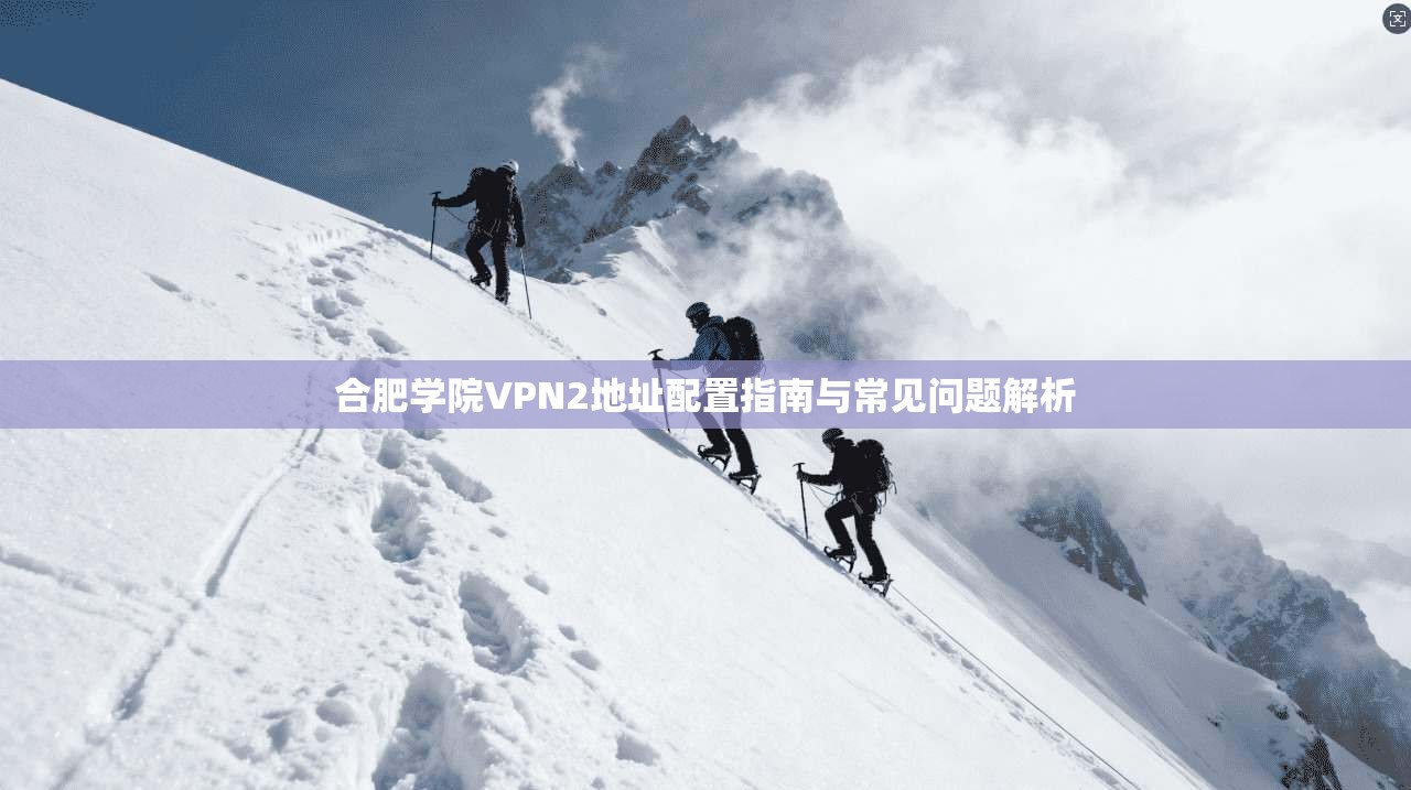 合肥学院VPN2地址配置指南与常见问题解析
