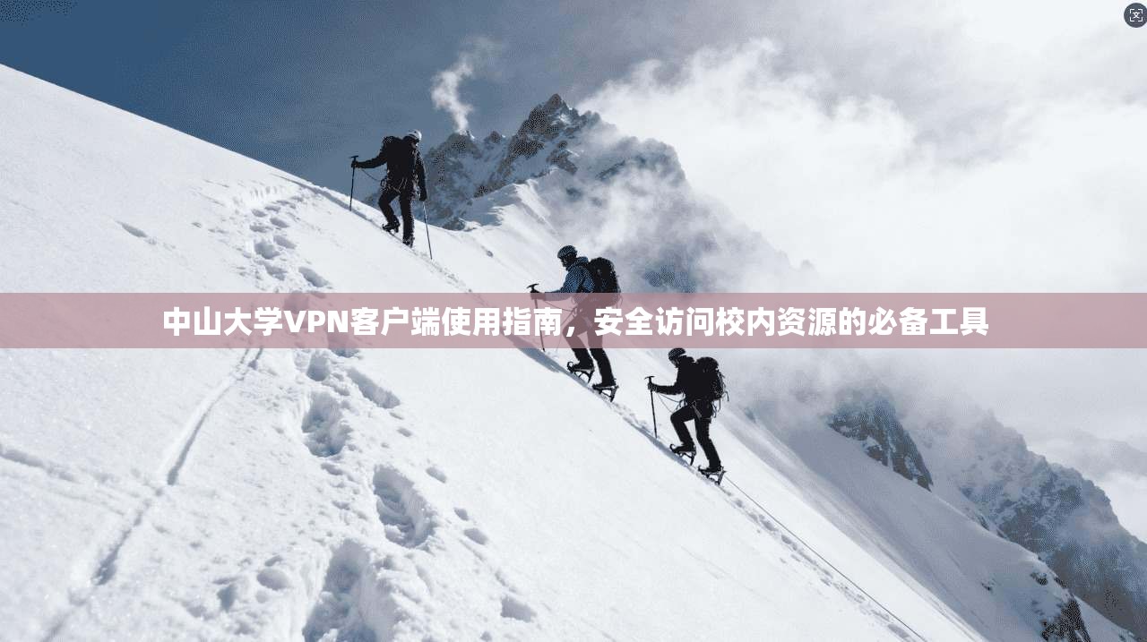 中山大学VPN客户端使用指南，安全访问校内资源的必备工具