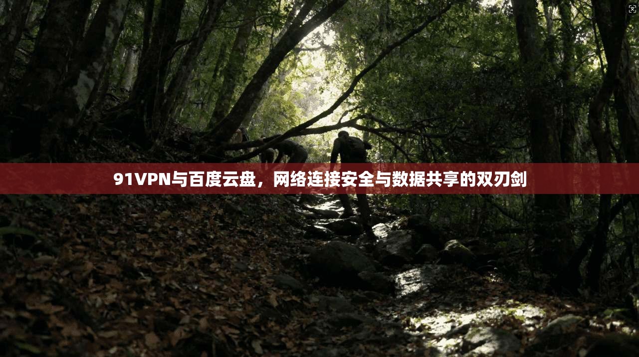 91VPN与百度云盘，网络连接安全与数据共享的双刃剑