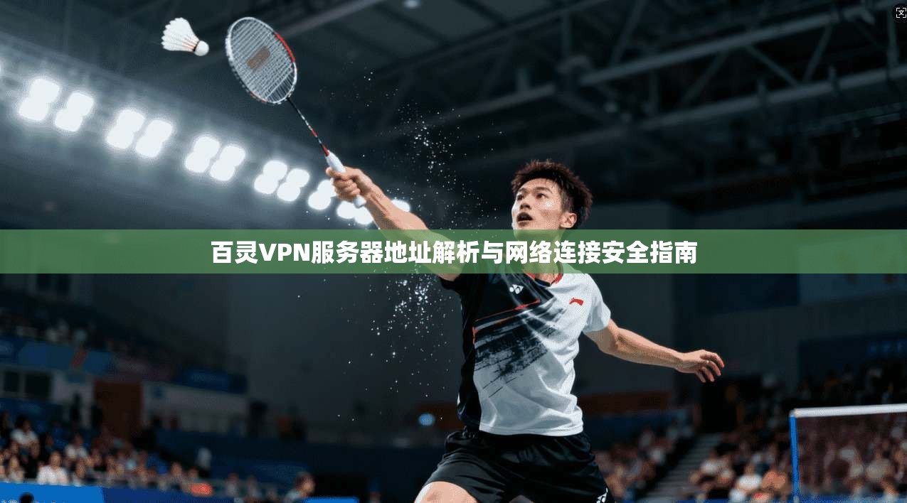 百灵VPN服务器地址解析与网络连接安全指南