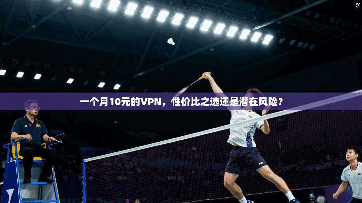 一个月10元的VPN,性价比之选还是潜在风险? 一个月10元的VPN,性价比之选还是潜在风险?