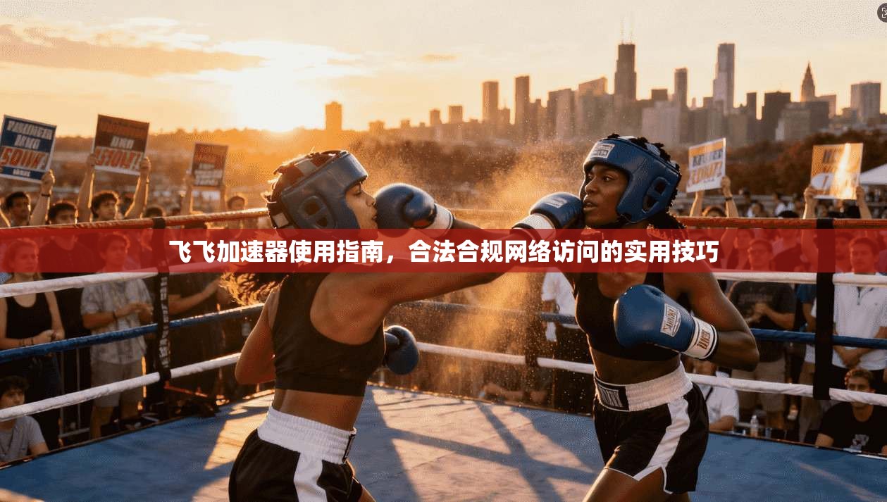 飞飞加速器使用指南,合法合规网络访问的实用技巧 飞飞加速器使用指南,合法合规网络访问的实用技巧