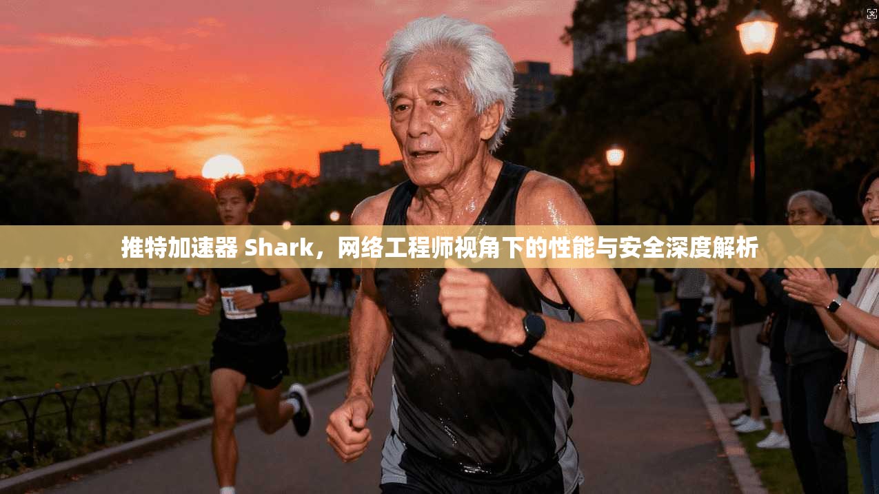 推特加速器 Shark，网络工程师视角下的性能与安全深度解析