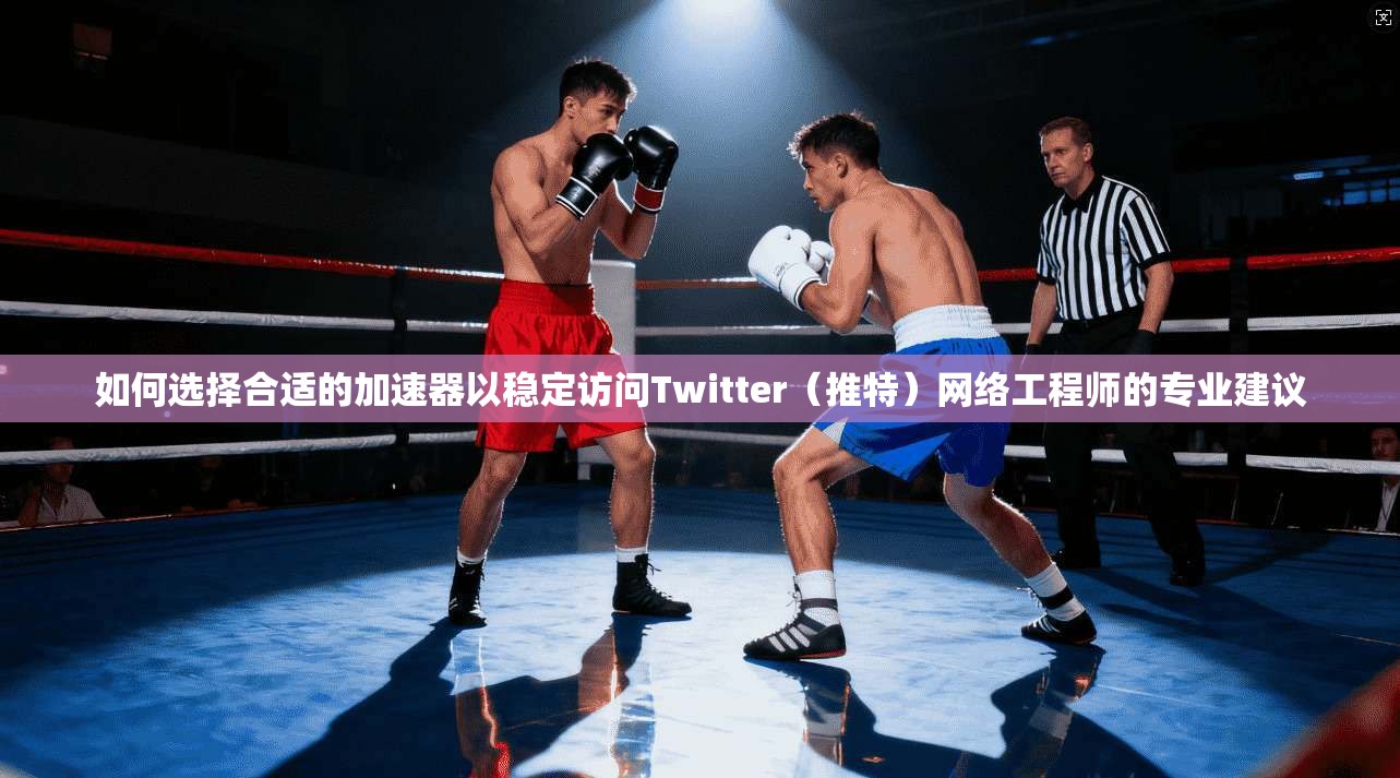 如何选择合适的加速器以稳定访问Twitter（推特）网络工程师的专业建议