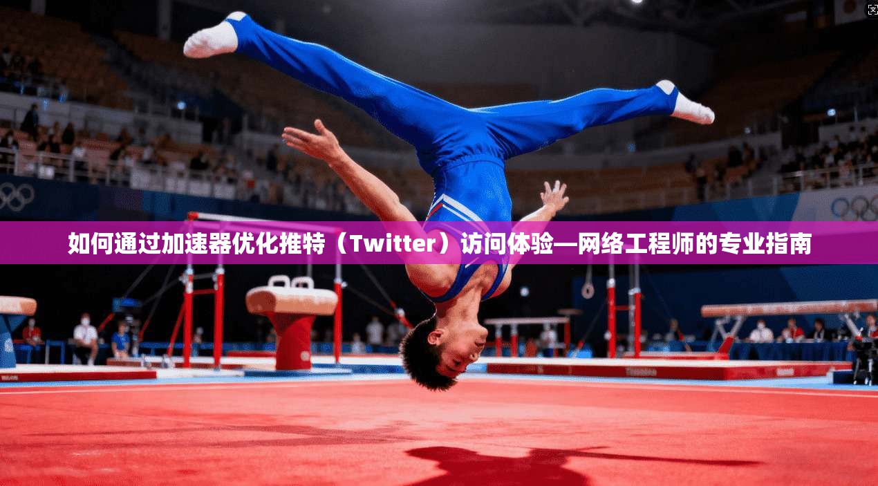 如何通过加速器优化推特（Twitter）访问体验—网络工程师的专业指南