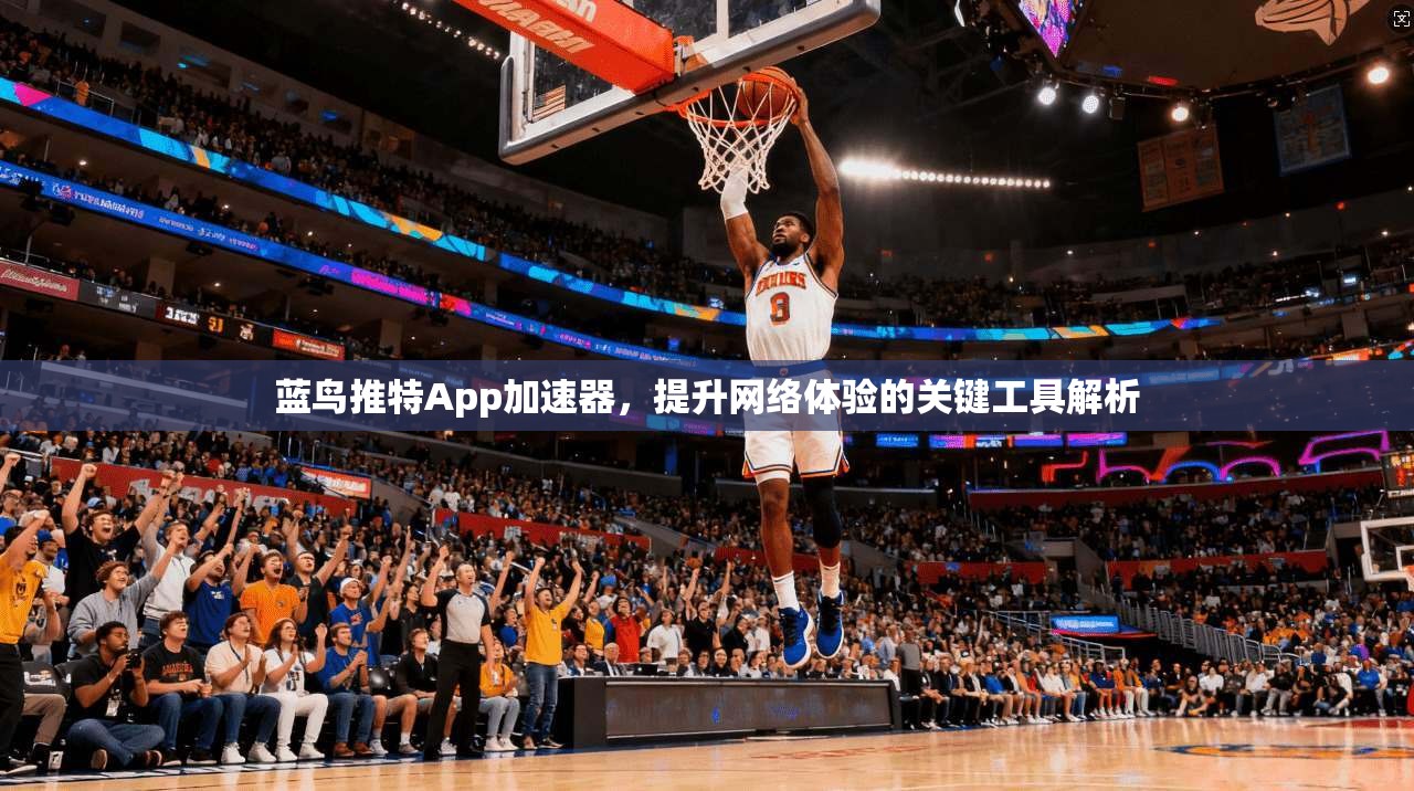 蓝鸟推特App加速器,提升网络体验的关键工具解析 蓝鸟推特App加速器,提升网络体验的关键工具解析
