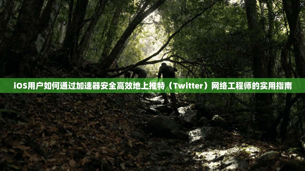 iOS用户如何通过加速器安全高效地上推特(Twitter)网络工程师的实用指南 iOS用户如何通过加速器安全高效地上推特(Twitter)网络工程师的实用指南