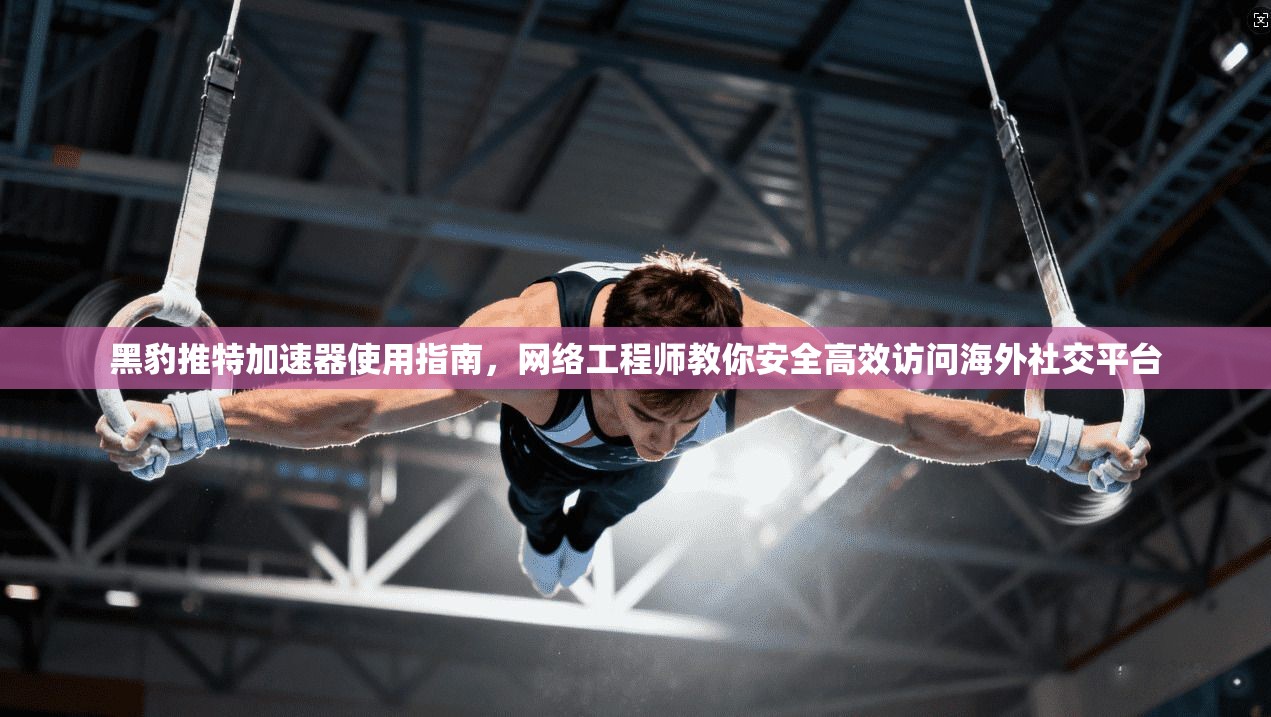 黑豹推特加速器使用指南，网络工程师教你安全高效访问海外社交平台