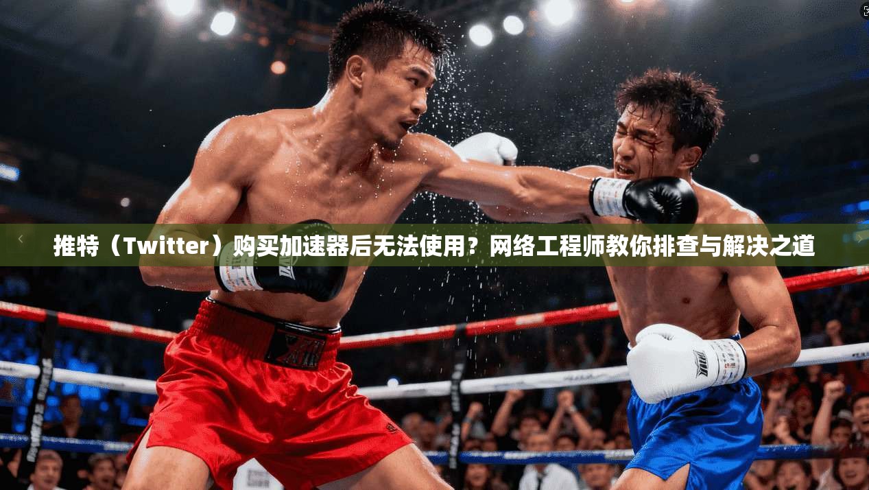 推特(Twitter)购买加速器后无法使用?网络工程师教你排查与解决之道 推特(Twitter)购买加速器后无法使用?网络工程师教你排查与解决之道