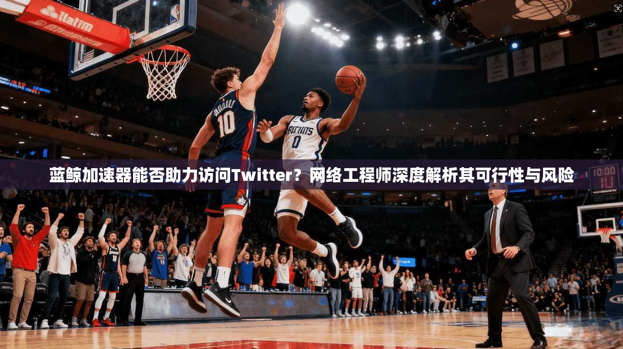 蓝鲸加速器能否助力访问Twitter？网络工程师深度解析其可行性与风险