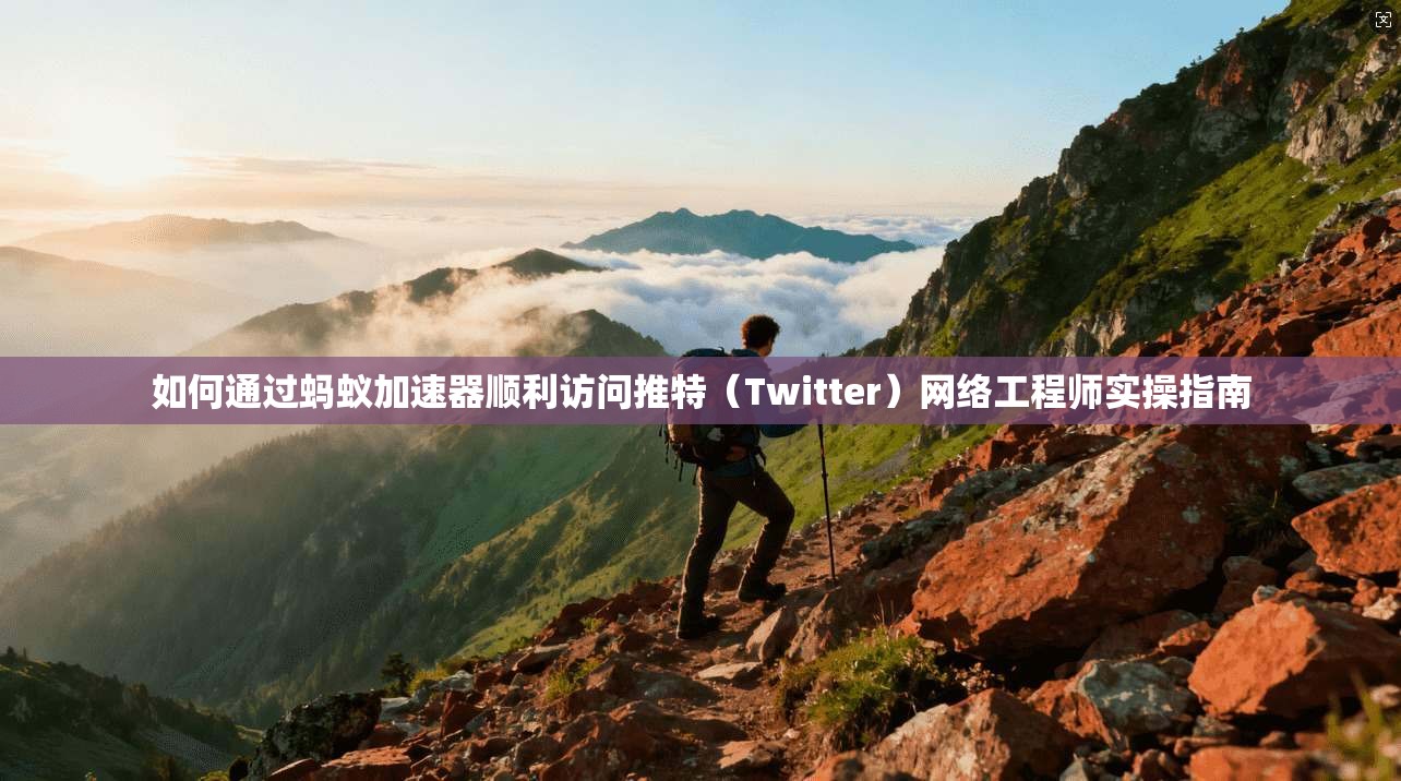 如何通过蚂蚁加速器顺利访问推特(Twitter)网络工程师实操指南 如何通过蚂蚁加速器顺利访问推特(Twitter)网络工程师实操指南