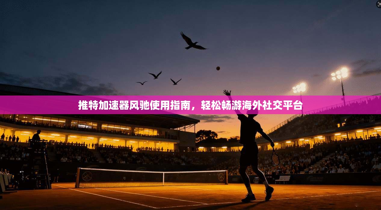 推特加速器风驰使用指南，轻松畅游海外社交平台