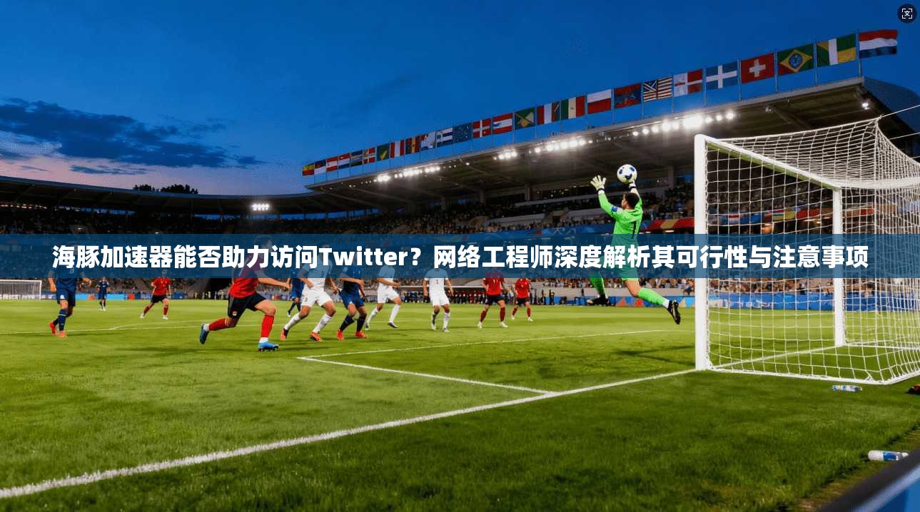 海豚加速器能否助力访问Twitter?网络工程师深度解析其可行性与注意事项 海豚加速器能否助力访问Twitter?网络工程师深度解析其可行性与注意事项