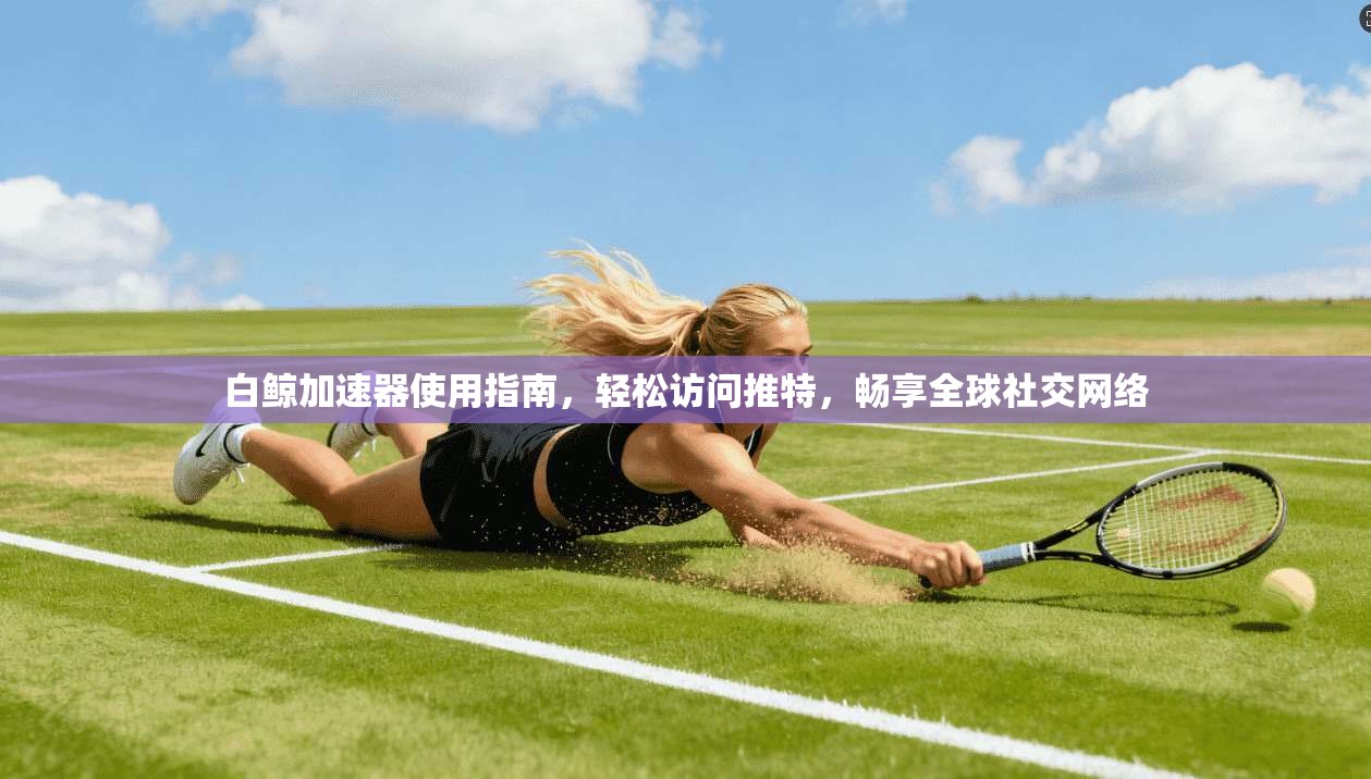 白鲸加速器使用指南，轻松访问推特，畅享全球社交网络