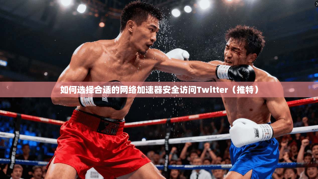如何选择合适的网络加速器安全访问Twitter(推特) 如何选择合适的网络加速器安全访问Twitter(推特)