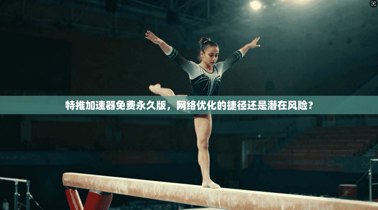 特推加速器免费永久版,网络优化的捷径还是潜在风险? 特推加速器免费永久版,网络优化的捷径还是潜在风险?