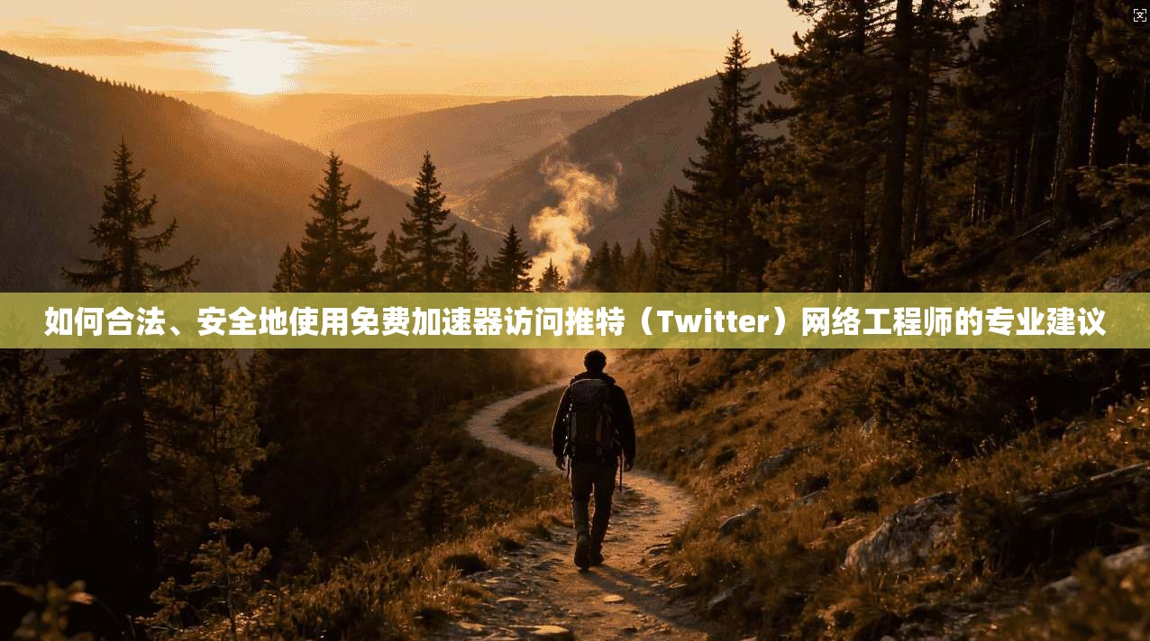 如何合法、安全地使用免费加速器访问推特(Twitter)网络工程师的专业建议 如何合法、安全地使用免费加速器访问推特(Twitter)网络工程师的专业建议