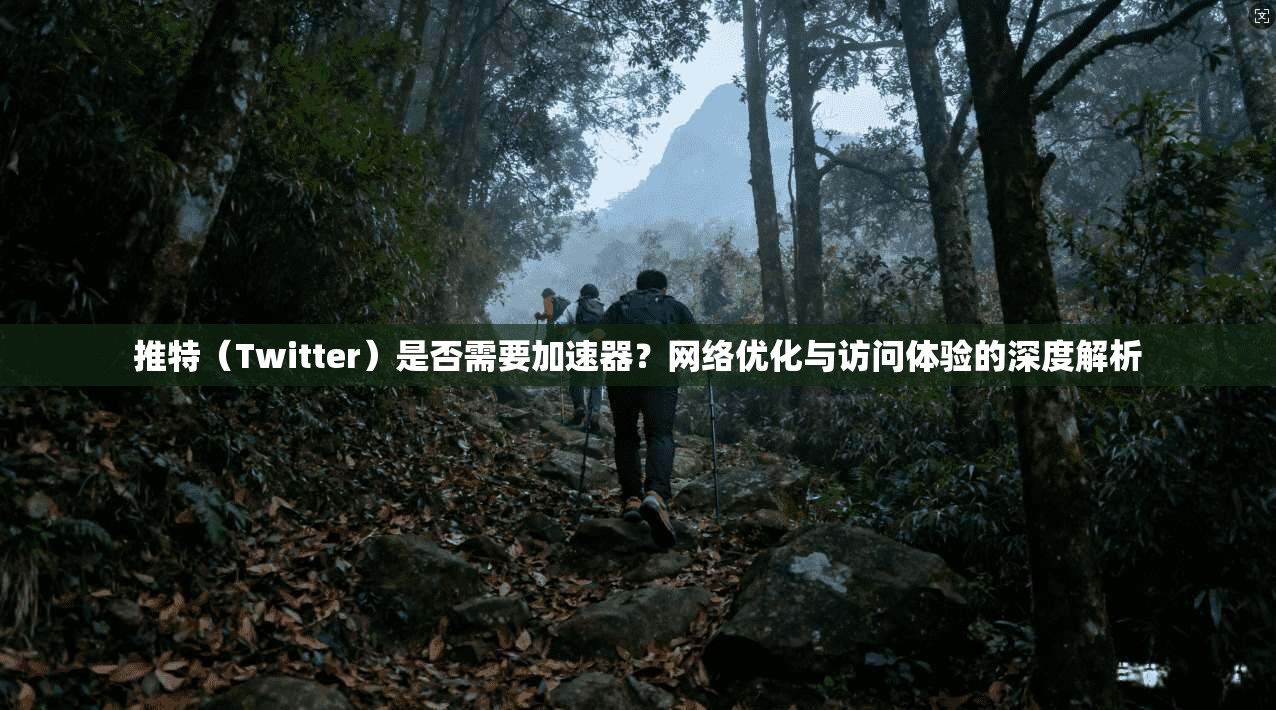推特(Twitter)是否需要加速器?网络优化与访问体验的深度解析 推特(Twitter)是否需要加速器?网络优化与访问体验的深度解析