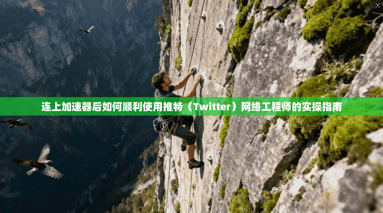 连上加速器后如何顺利使用推特（Twitter）网络工程师的实操指南