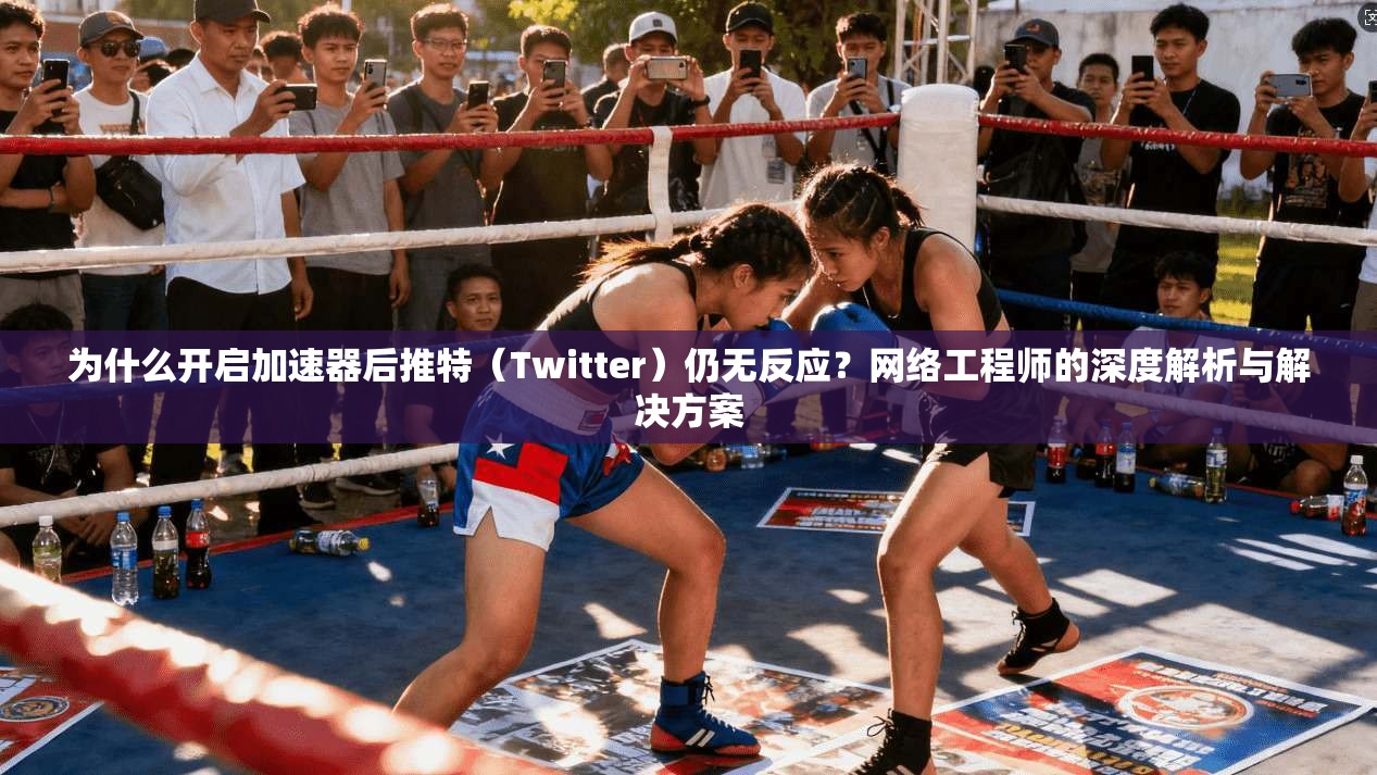为什么开启加速器后推特（Twitter）仍无反应？网络工程师的深度解析与解决方案