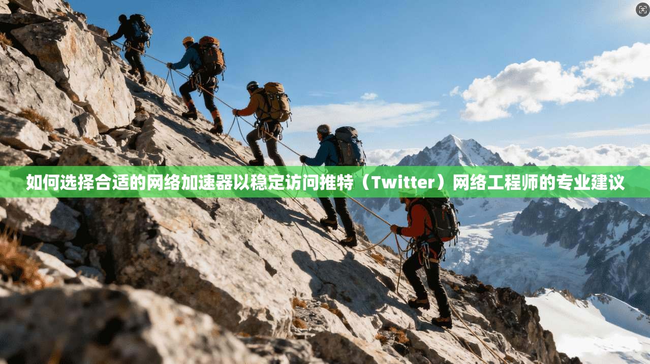 如何选择合适的网络加速器以稳定访问推特（Twitter）网络工程师的专业建议
