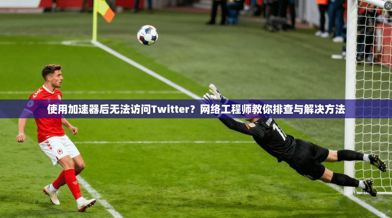 使用加速器后无法访问Twitter？网络工程师教你排查与解决方法